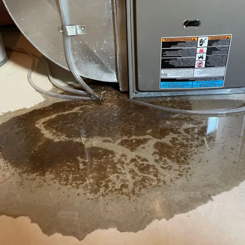 Pipe Burst and Leak Restoration in Conyngham, PA
